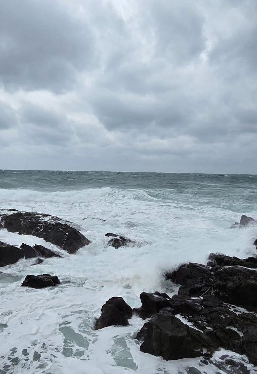 밀리의서재 '고군분투' 언급 페이지 이미지